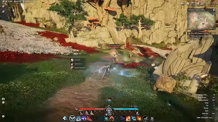Aion 2 party combat in Western Cantas Valley with elite mobs on screen